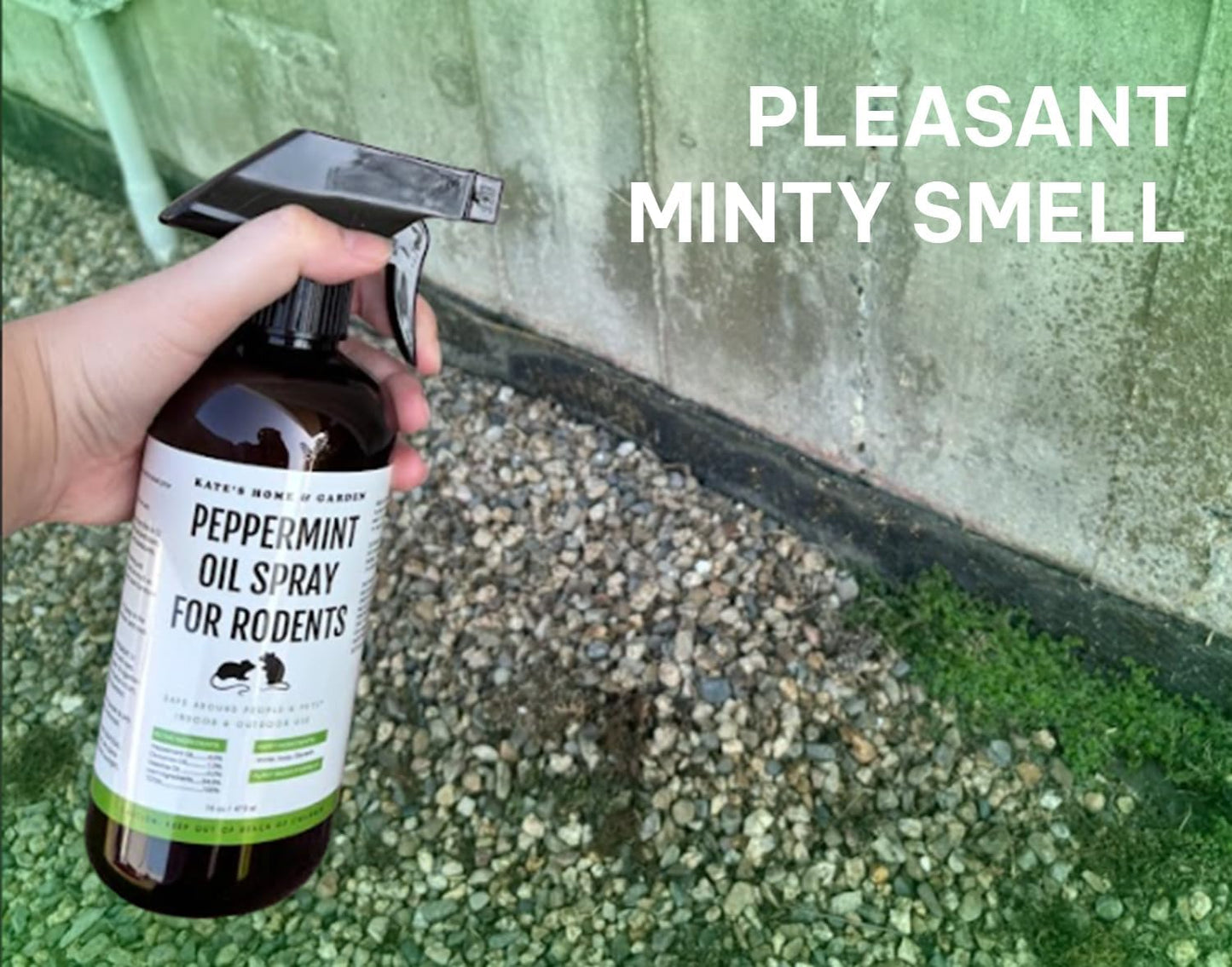 Peppermint Oil Spray for Rodents, Mouse, Squirrels (16oz, Pet Safe). Rodent Repellent Outdoor for Car Engines, Mice, Rat, Bat, House, Plants