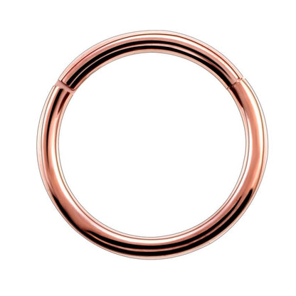 Surgical Steel Hinged Segment Hoop Ring