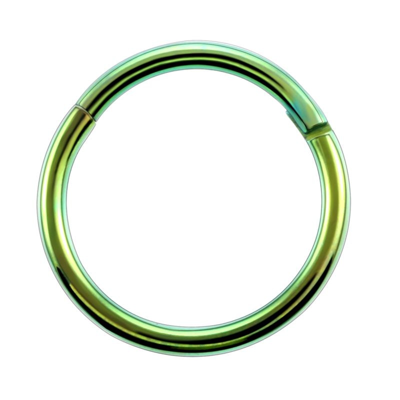 Surgical Steel Hinged Segment Hoop Ring