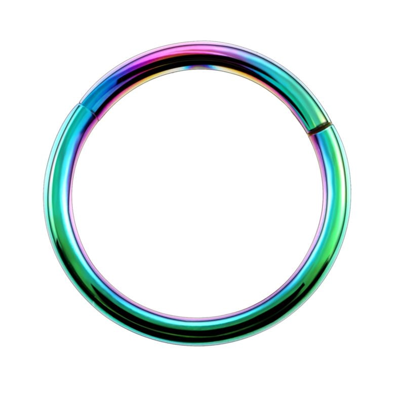 Surgical Steel Hinged Segment Hoop Ring