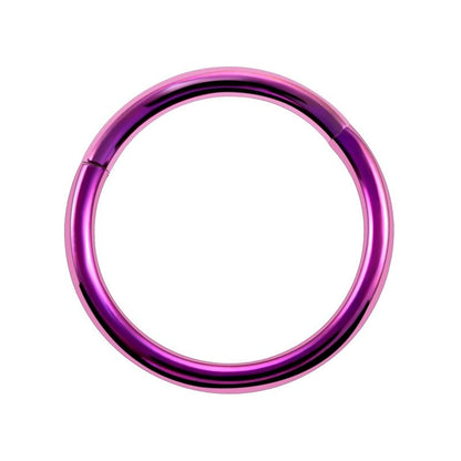 Surgical Steel Hinged Segment Hoop Ring