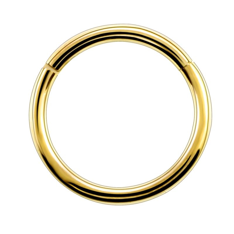 Surgical Steel Hinged Segment Hoop Ring