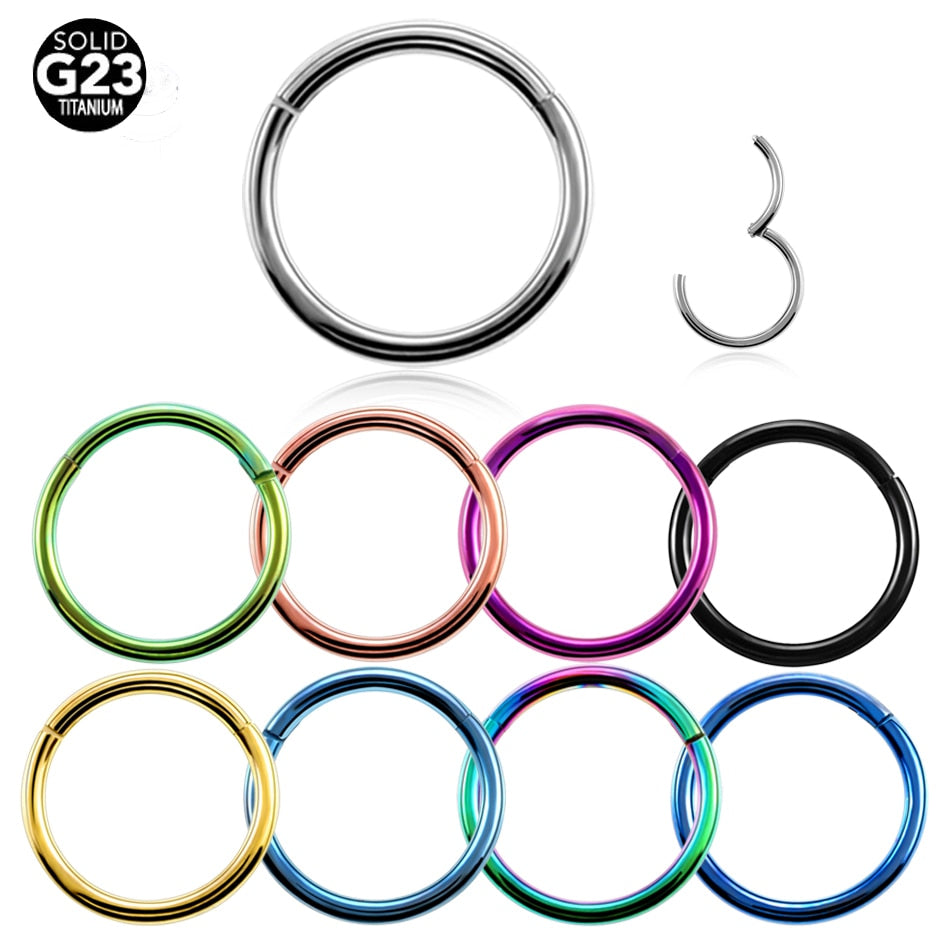 Surgical Steel Hinged Segment Hoop Ring